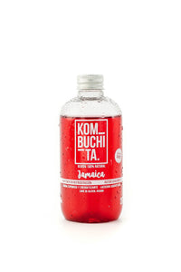 Kombucha de Jamaica 240 ml