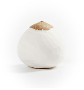 Coco pelado