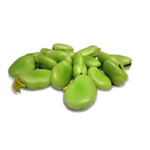 Haba verde limpia