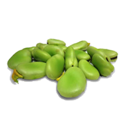 Haba verde limpia