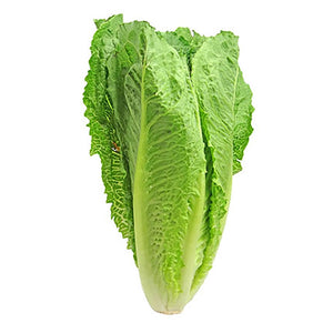 Lechuga orejona o larga