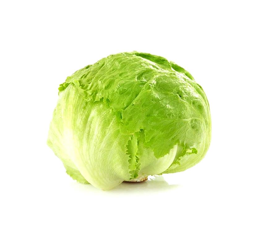 Lechuga romana