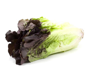 Lechuga sangría