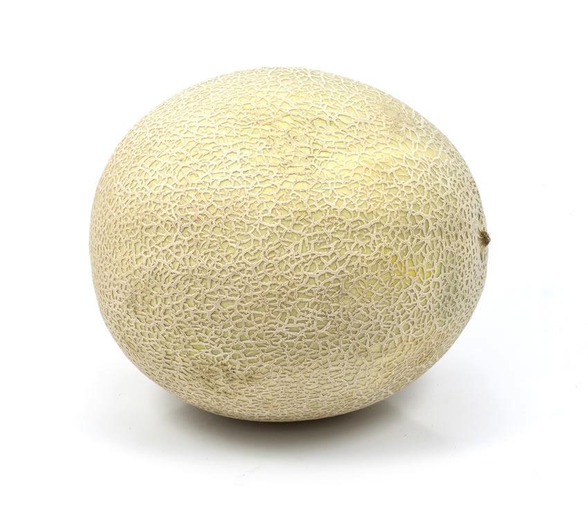 Melón chino o cantaloupe