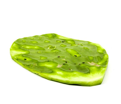 Nopal