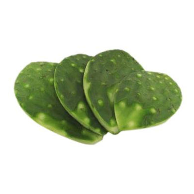Nopal cambray