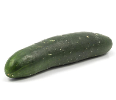 Pepino americano